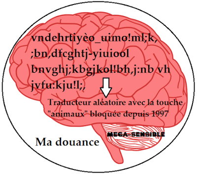 cerveau 2.png